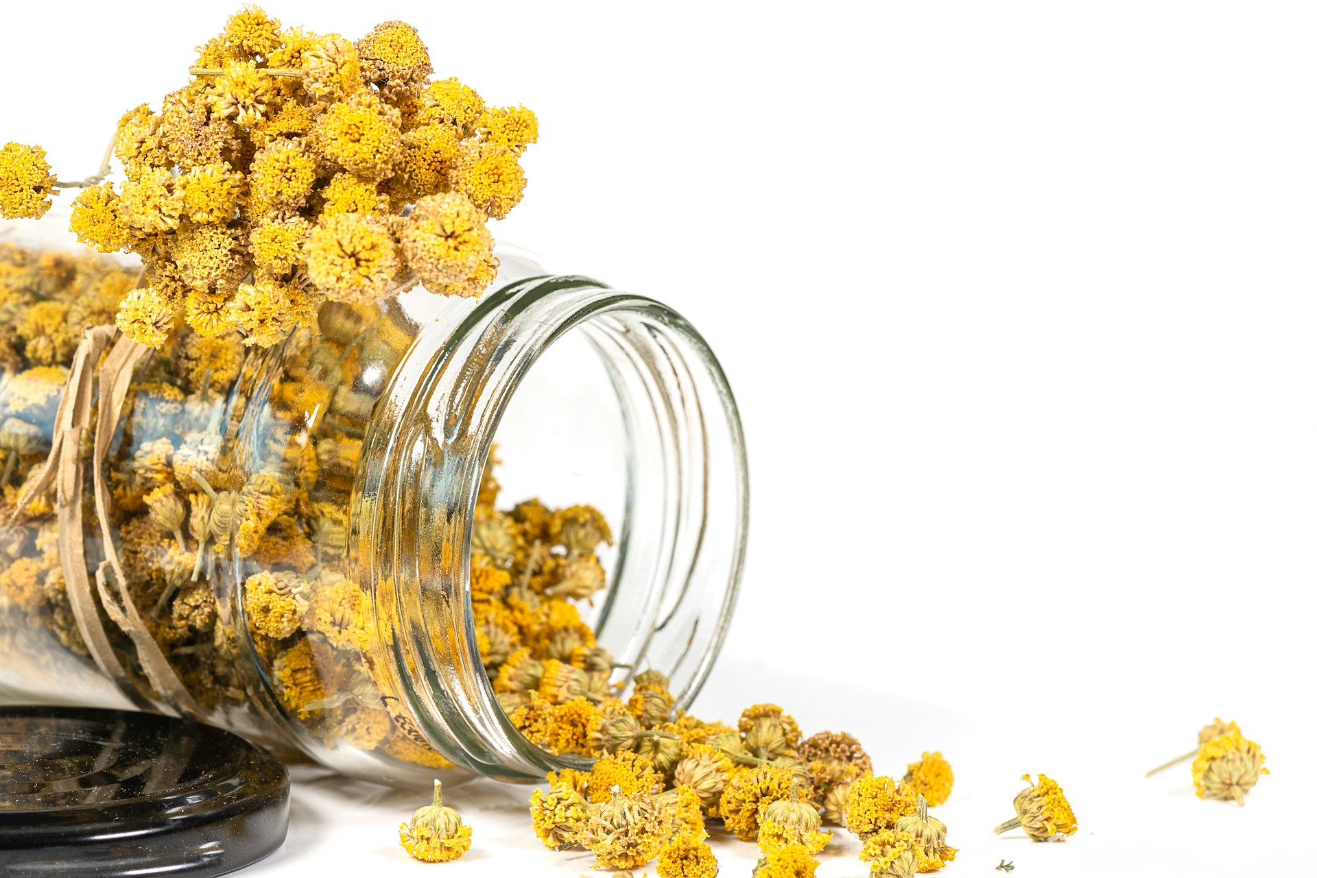 Five Thousand Years of Chamomile